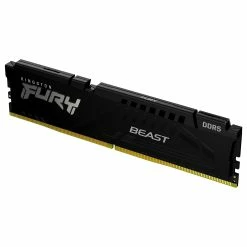 Kingston KF548C38BB-16 (16Go DDR5 4800 PC38400)