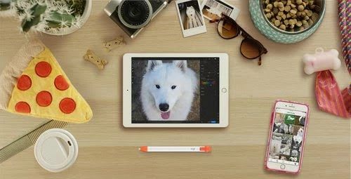 Logitech Crayon Orange, Blanc 17 Logitech Crayon Orange, Blanc – Image 17