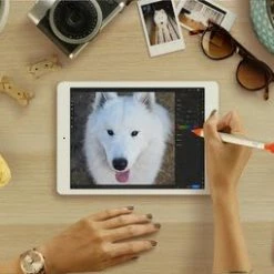 Logitech Crayon Orange, Blanc 50 Logitech Crayon Orange, Blanc -Carte graphique Soldes c51f4dde 396f 44f2 af47 c212cc178ec5