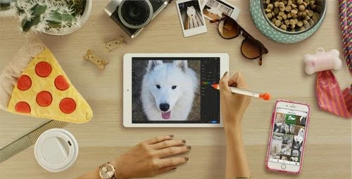 Logitech Crayon Orange, Blanc 18 Logitech Crayon Orange, Blanc – Image 18